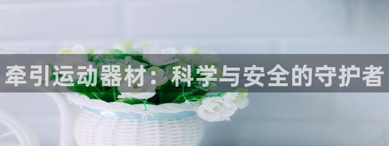 tp官方正版app娱乐网站：牵引运动器材：科学与安全