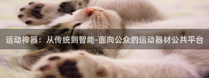 tpwallet官网下载招商电话号码：运动神器：从传