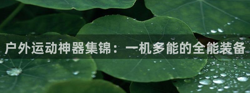 tpwallet官网下载开户