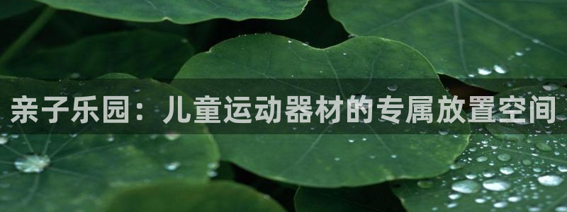 tp官方正版app新能源