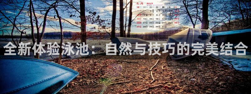 tp官方正版app集团简介：全新体验泳池：自然与技巧的完美结