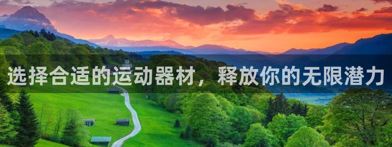 tp官方正版app开户：选择合适的运动器材，释放你的无限潜力