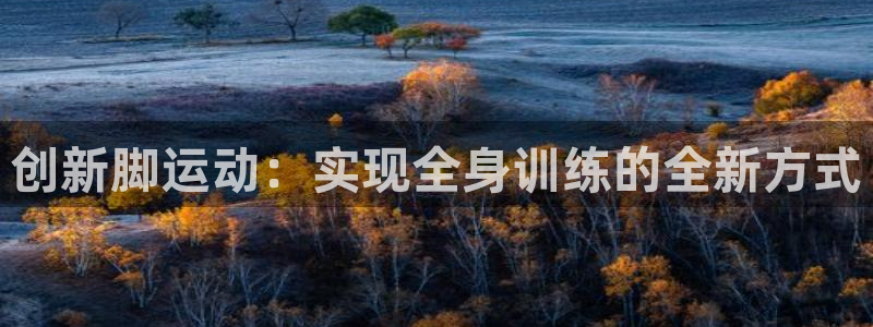 tpwallet官网下载招商电话号码是多少：创新脚运动：实现