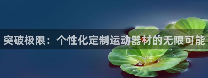 tpwallet官网下载平台：突破极限：个性化定制运动器材的