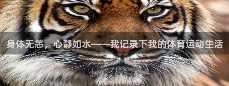 xc体育app官方网站