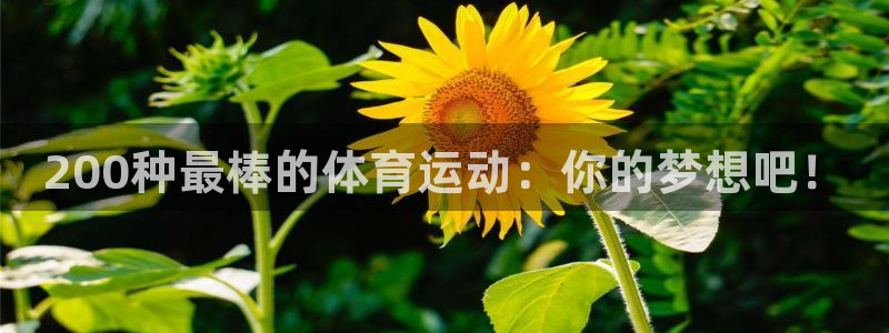 xc体育