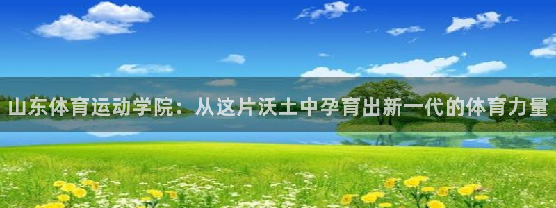 xc体育app官方网站