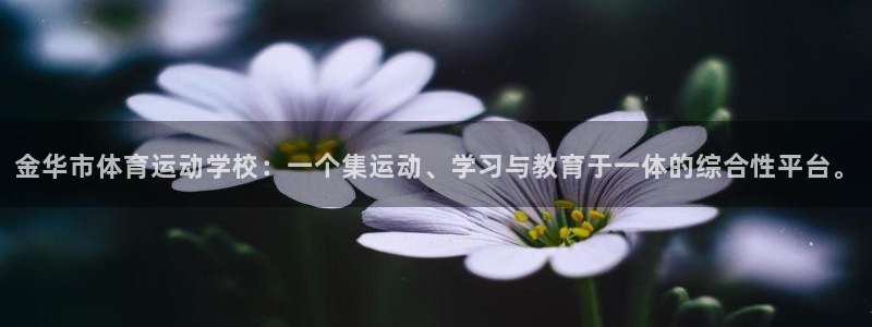 xc体育app官方网站