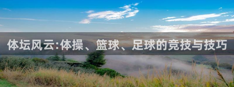xc体育app官方网站