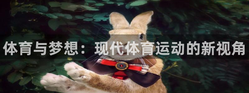 xc体育app官方网站