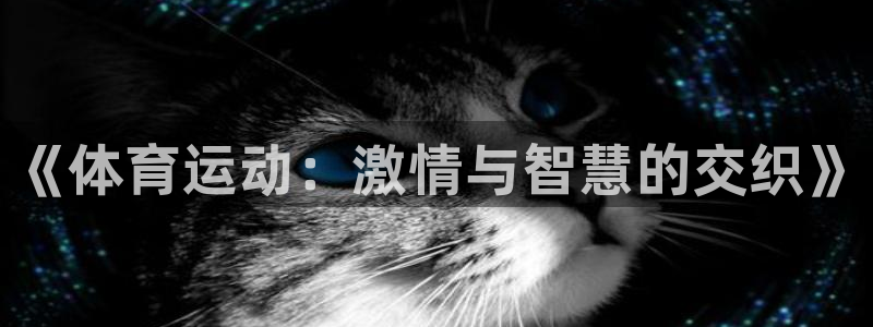 xc体育