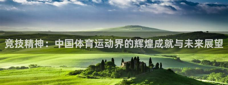 xc体育app官方网站