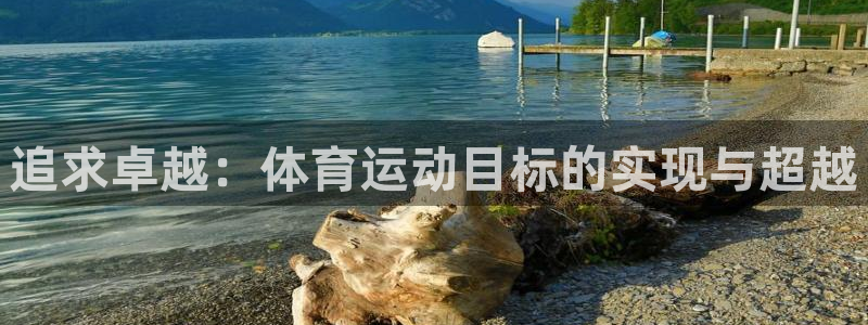 xc体育app官方网站