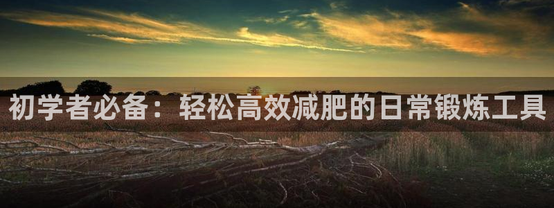 tpwallet官网下载平台是正规平台吗安全吗：初学者必备：