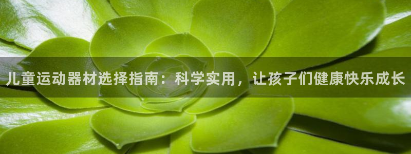 tpwallet官网下载娱乐：儿童运动器材选择指南：科学实用