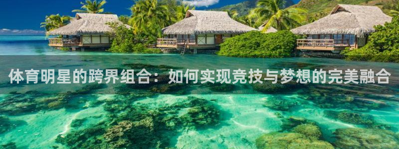 xc体育app官方网站